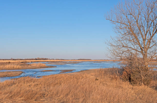 แม่น้ําแพลตต์ที่ไหลเงยหน้าขึ้นในช่วงต้นฤดูใบไม้ผลิ - platte river ภาพสต็อก ภาพถ่ายและรูปภาพปลอดค่าลิขสิทธิ์