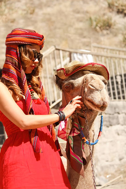 czerwona ubrana kobieta z wielbłądem na pustyni podczas podróży na bliski wschód - arab spring obrazy zdjęcia i obrazy z banku zdjęć