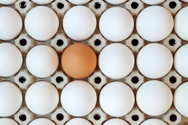 White egg and brown eggs on paper tray