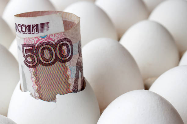 istock Russian ruble banknote in empty egg shell among white chicken eggs in cardboard tray closeup 955166828