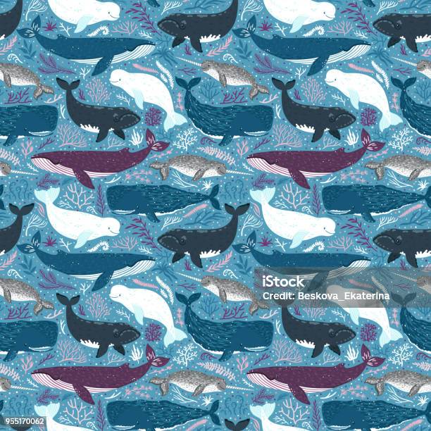 Vector Seamless Pattern With Whales Repeated Texture With Marine Mammals Narwhal Blue Whale Beluga Whale White Whale And Sperm Whale Blue Sea Background With Animals Stock Illustration - Download Image Now