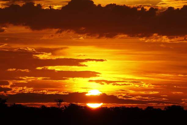 istock Sunset sunrise cloudscape dawn dusk sky orange landscape rays trees 955172388