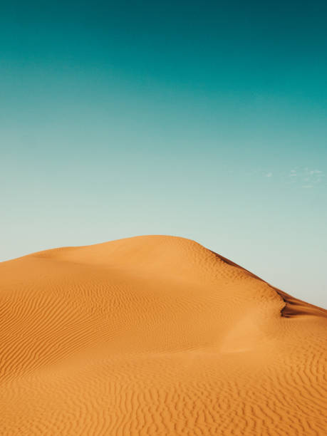 istock Moroccan Sand Dunes in the Sahara 955175206
