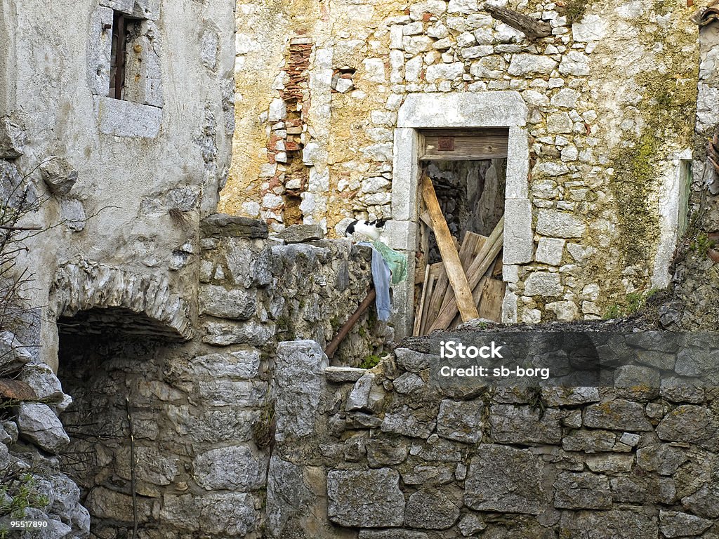 Gatto e rovine - Foto stock royalty-free di Abbandonato