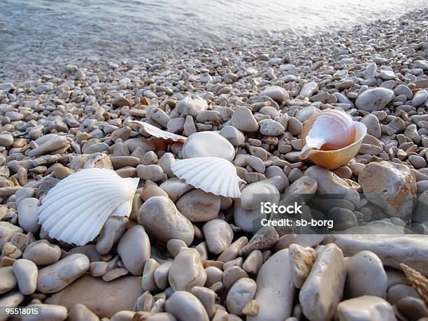 Pebble Beach - Fotografie stock e altre immagini di Acqua - Acqua, Ambientazione esterna, Chiocciola - Gasteropode