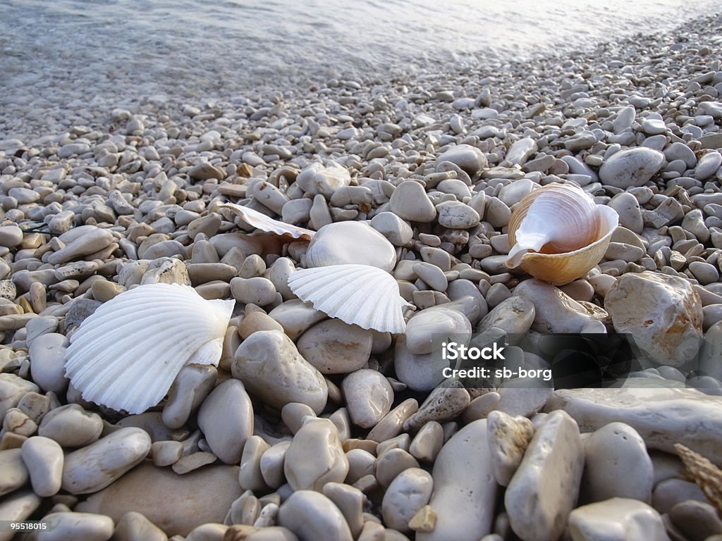 Pebble beach - Royalty-free Ao Ar Livre Foto de stock