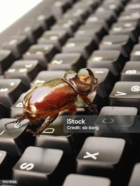 Computer Bug Stock Photo - Download Image Now - Abstract, Black Color, Brown