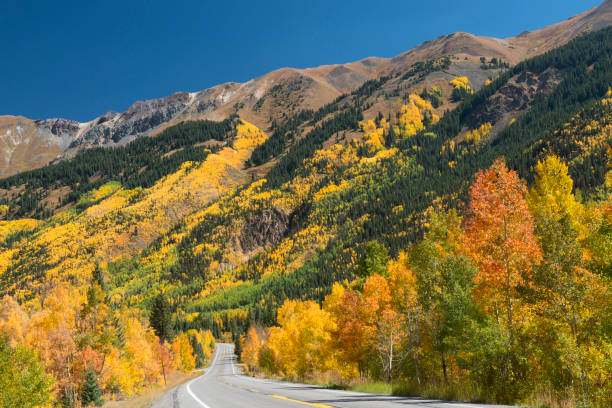 istock Highway in Colorado in Autumn 955183568