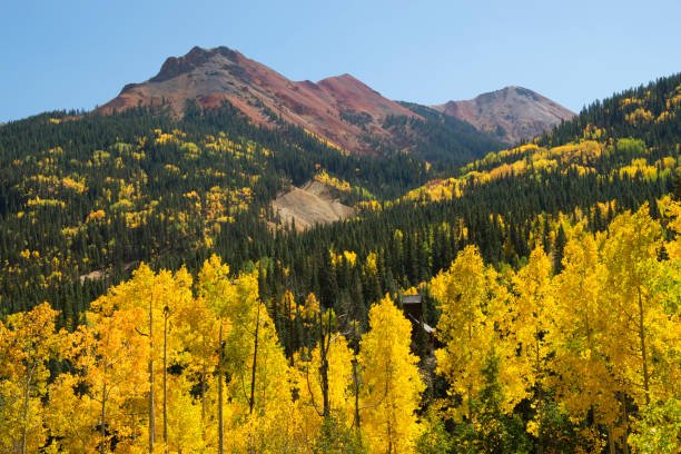 istock San Juan Mountains in Autumn 955183588