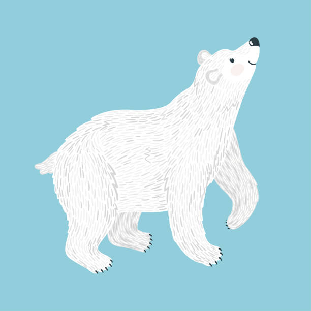 Vector illustration of smiling polar bear. Isolated on blue. Cute cartoon character. Vector illustration of smiling polar bear. Isolated on blue. Cute cartoon character. polar bear stock illustrations