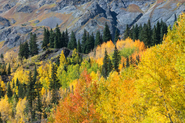 istock Autumn scenery along Million Dollar Highway in Colorado 955183630