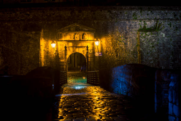 istock Rainy cobblestone street in Kotor at night 955185930