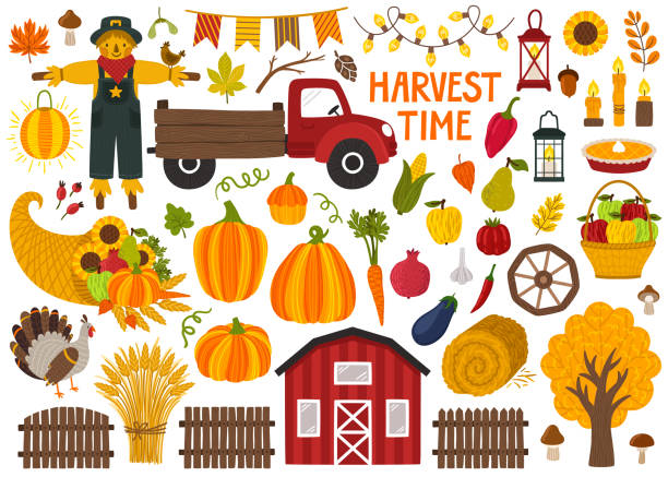 귀여운 손 세트가 개체를 그립니다. 가 시즌 장식입니다. 가 파티, 농민 시장, 수확 축제 또는 추수 감사절에 대 한 scrapbooking 요소의 컬렉션입니다. - cornucopia november pumpkin leaf stock illustrations