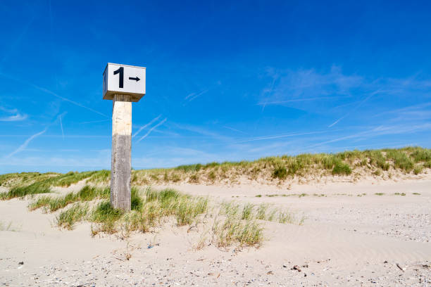 Marked beach pole with number 1 in sand on dune with marram grass on Kennemerstrand beach in IJmuiden, Noord-Holland, Netherlands