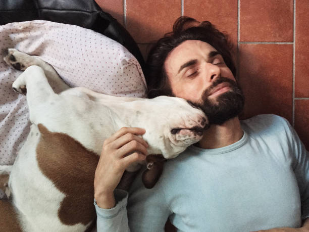 istock love between a dog and her owner 955194226