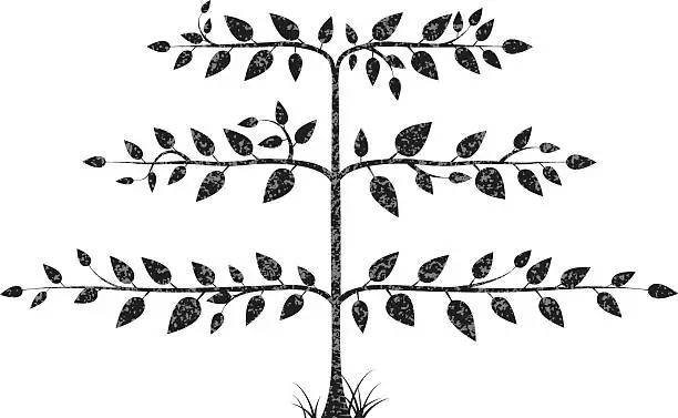 Vector illustration of Espalier Tree