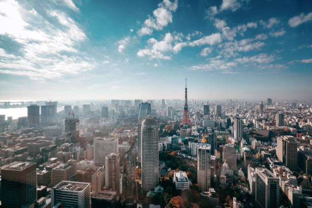 skyline von tokio, japan - city night cityscape aerial view stock-fotos und bilder