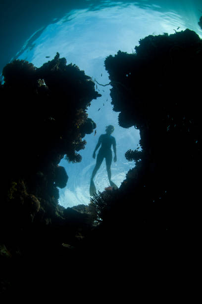 istock Snorkeler Explores Coral Reef Crevice 955208856