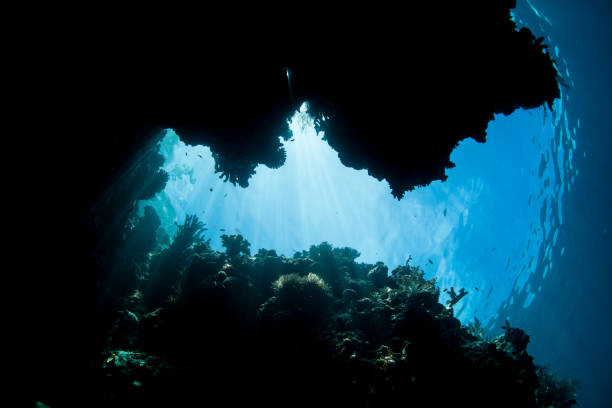 istock Sunlight Shines Into Dark Underwater Crevice 955208898