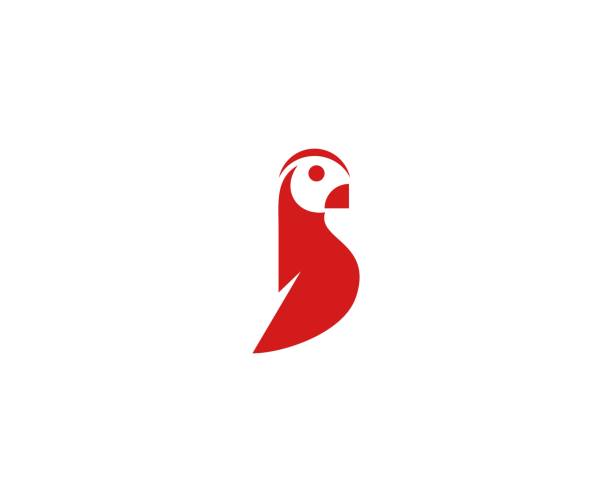 parrot-symbol - nashornvogel stock-grafiken, -clipart, -cartoons und -symbole