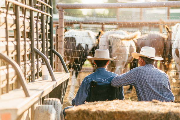 istock Father and Son at Rodeo Arena 955219204