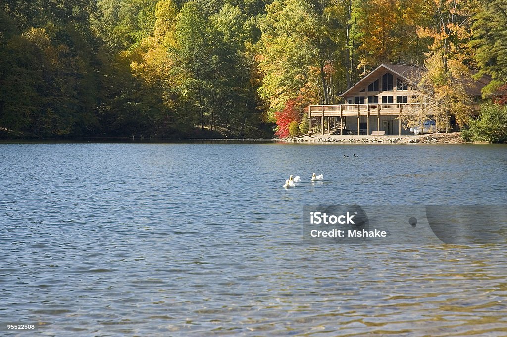 Jezioro Allen - Zbiór zdjęć royalty-free (Jezioro)