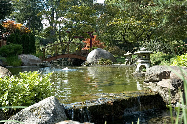istock Japanese Water Garden 95522719