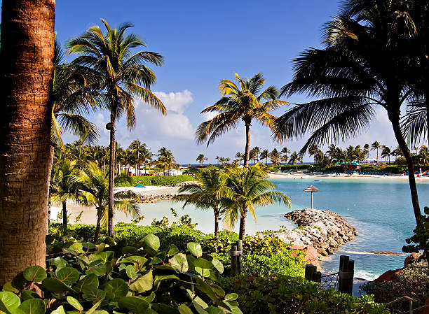 Paradise Island, Bahamas  paradise island bahamas stock pictures, royalty-free photos & images