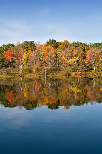 istock Autumn Color Leaves on Lake 95523862