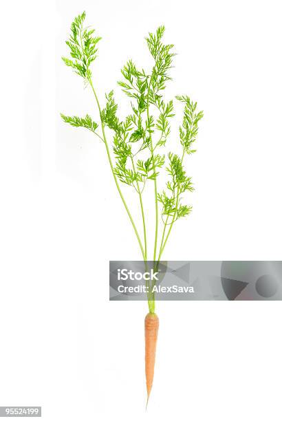 Singolo Carota In Piena Lunghezza - Fotografie stock e altre immagini di Cima di carota - Cima di carota, Alimentazione sana, Arancione