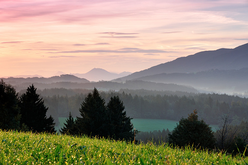 early morning meadow with dew and pastel colored sky at the alpine foothills near Siegsdorf, Bavaria, Chiemgau, view towards austrian Salzkammergut