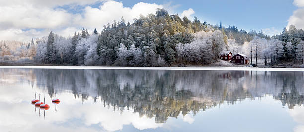 Winter lake with swans reflecting scenery stock photo