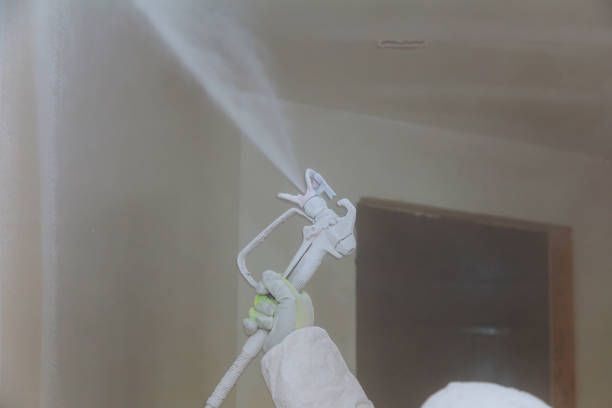 House Painter Spray Painting Worker painting wall with spray gun in white color. Worker painting wall with spray gun in white color. House Painter Spray house painting service stock pictures, royalty-free photos & images