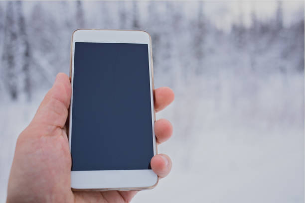 istock Phone in travelers hand 955251912