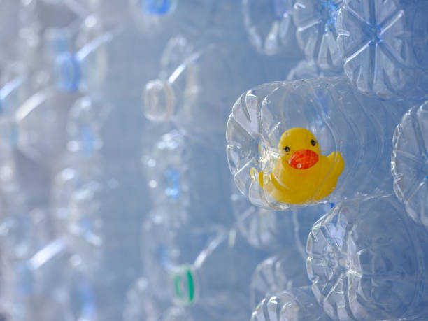 istock Yellow rubber duck trapped inside an empty plastic drinking water bottle among a stack of many other plastic purified drinking water bottles kept for recycling. 955252268