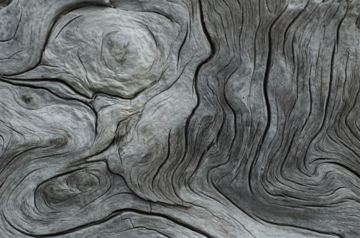 Nice example of weathered driftwood. Grey with several knots that caused swirls and give a nice texture.