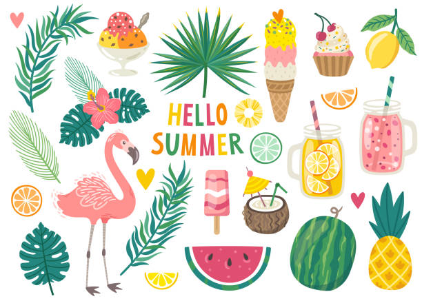 Set of cute summer icons: food, drinks, palm leaves, fruits and flamingo. Bright summertime poster. Collection of scrapbooking elements for beach party. Set of cute summer icons: food, drinks, palm leaves, fruits and flamingo. Bright summertime poster. Collection of scrapbooking elements for beach party. mason jar stock illustrations
