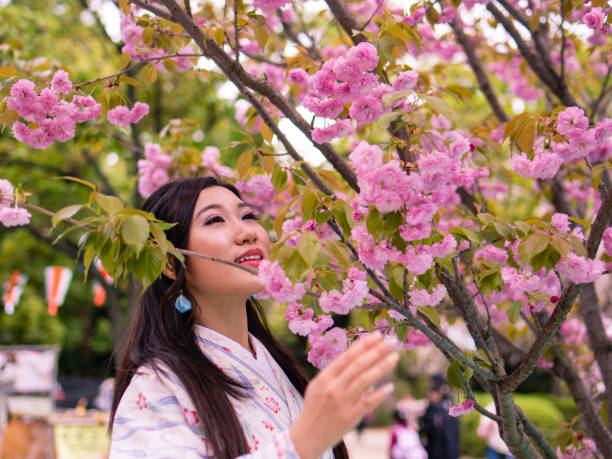 istock Young woman in kimono looking up at cherry blossoms 955260256