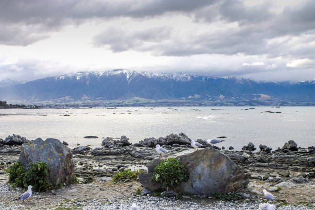 A cloudy winter day in Kaikoura, New Zealand.