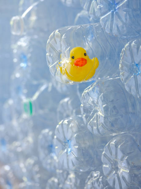 istock Yellow rubber duck trapped inside an empty plastic drinking water bottle among a stack of many other plastic purified drinking water bottles kept for recycling. 955263628