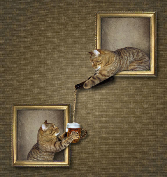 istock Cat treats a neighbor with beer 955268210