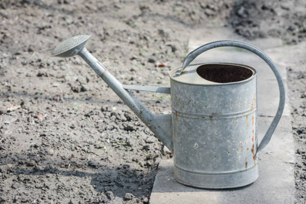 istock Watering can. Desaturated vintage color style. 955276888
