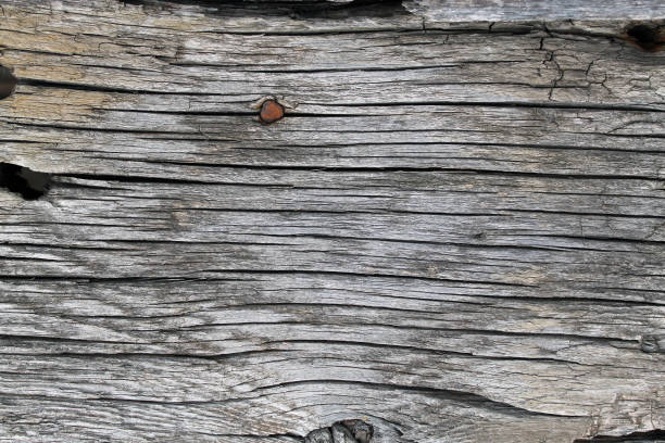 istock The old wood texture with natural patterns. Inside the tree background. Old grungy and weathered grey wooden wall planks texture background 955276970
