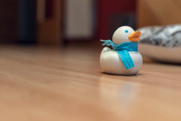 Duck toy isolated on a wooden floor