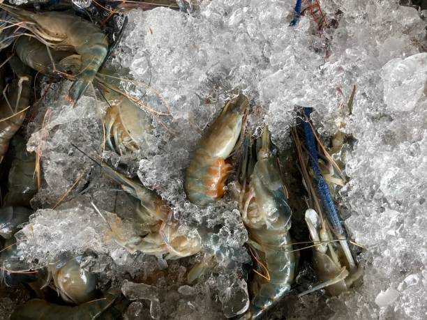istock Fresh shrimp in the ice for cooking 955290606
