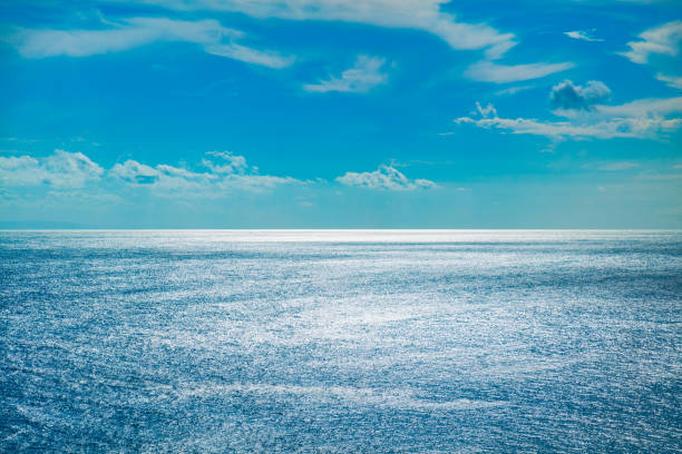 istock Exotic blue tropical ocean / sea tropical scenery. 955294384