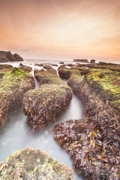 istock Scenic View Of Sea Against Sky During Sunset 955301866