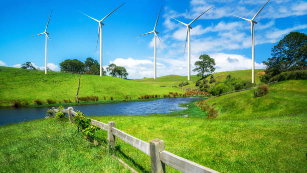 istock Wind turbines farm on a green grass hills. 955313772
