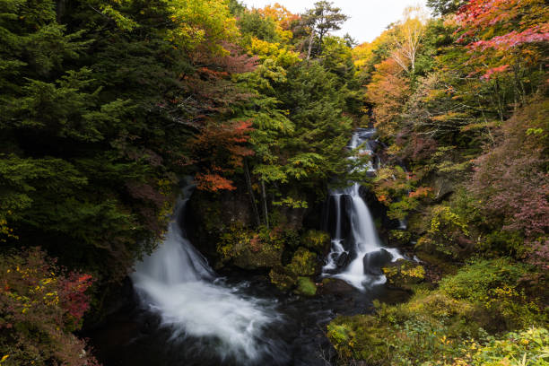 istock Ryuzu fall at Nikko national park in autumn 955314398