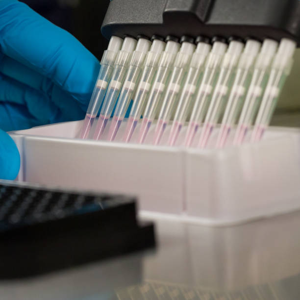 istock many pipette tips, hand with blue glove, pink liquid 955321096